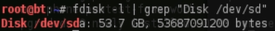 BTFDisk.jpg