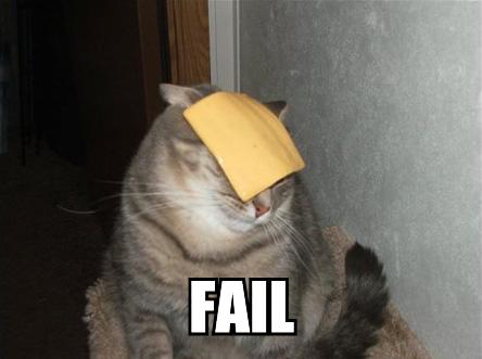 FailCat.jpg