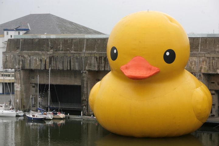 MassiveDucky.jpg