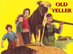 Old_Yeller.JPG